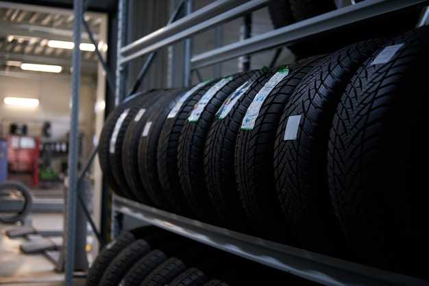 Choosing the right tires for your vehicle Choosing the right tires for your vehicle