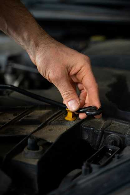 5. Examine Brake Fluid